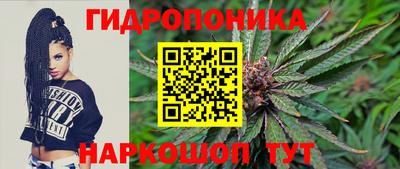 мдпв Можга